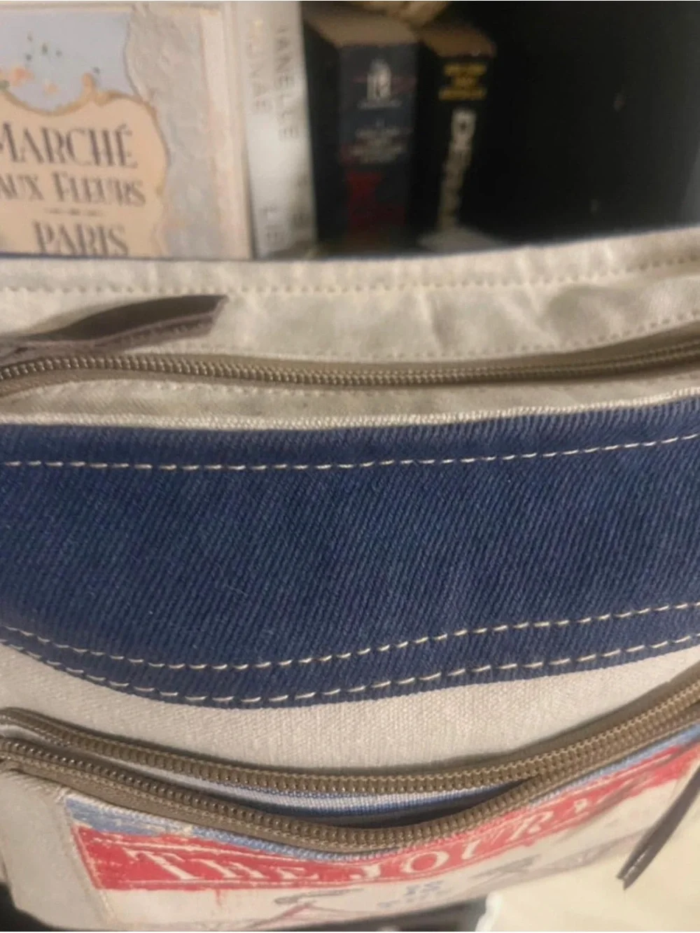 Clea Ray Canvas Crossbody Bag with Bicycle Print - Blue & Cream